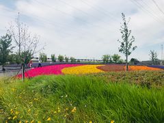 -菊园百果园