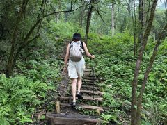 -西岭雪山大飞水景区