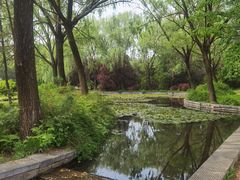 -洛阳市隋唐城遗址植物园
