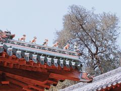 -嵩山少林文化旅游景区