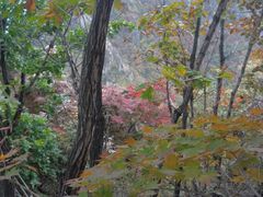 -大连天门山国家森林公园