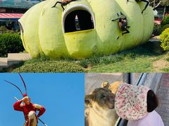 -西霞口神雕山野生动物世界