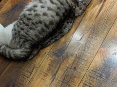 -如果·追梦手工皮具DIY教学店(田子坊店)