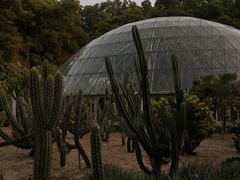 -深圳仙湖植物园