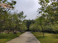 -广州市帽峰山景区