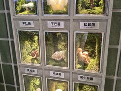 -武汉长江大桥