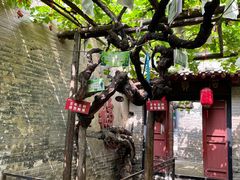 -康百万庄园