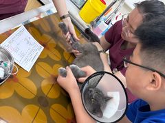 -美联众合动物医院·24h京西诊疗中心