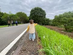 -福建鲤鱼洲酒店