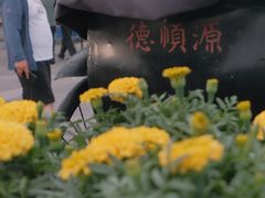 -大召寺明清一条街