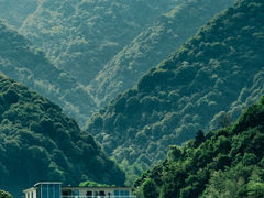 -龙坞茶村