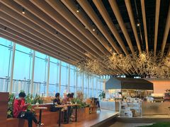 -Seesaw Coffee(朝阳大悦城店)