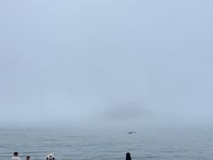 -棒棰岛宾馆景区