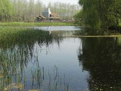 -溱湖国家湿地公园