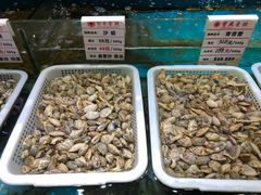 -宝燕壹号(徐汇店)