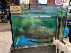 -聚福宝合苑食府(南头镇店)