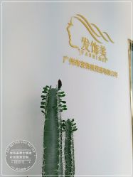 -发饰美男士增发补发假发定制店