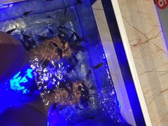 -菲拉拉漫温泉(东环路店)