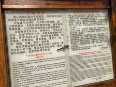 -新江湾城公园