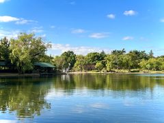 -上海共青森林公园