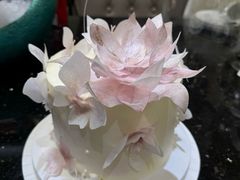 -你好独角兽·蛋糕甜品