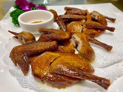 -国惠大酒楼(仓山万达店)