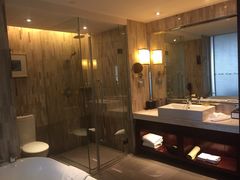 -常州环球恐龙城维景国际大酒店