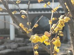 -吴作人艺术馆