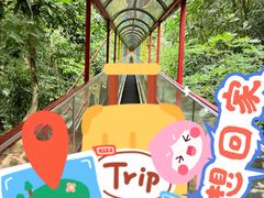 -七仙岭温泉国家森林公园