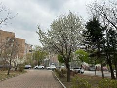 -吉林大学(前卫南区)
