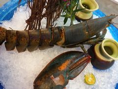 -半岛听涛蒸汽海鲜自助(K11店)