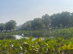 -长春市南湖公园