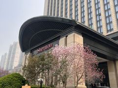 -济南喜来登酒店