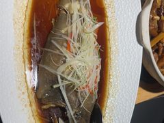 -三强鸽子(中原路店)