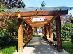 -木塔寺遗址生态公园