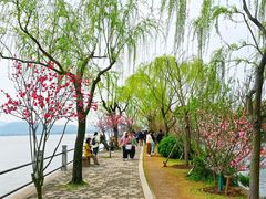 -无锡蠡湖国家湿地公园-蠡园