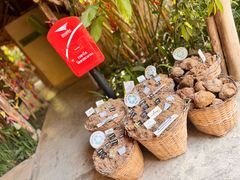 -大象粑粑造纸公园