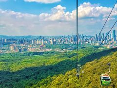 -紫金山天文台