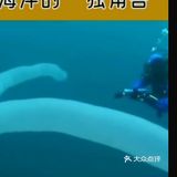 它看上去就像是一个巨大的圆筒，健身还泛着粉色和蓝色的光