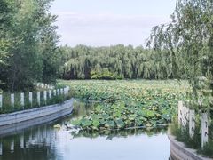 -廊坊市自然公园