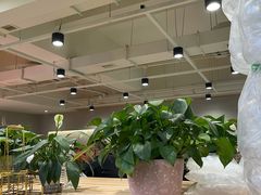大堂-老谢野馄饨(延安路店)