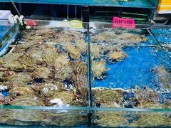 -王四营海鲜市场