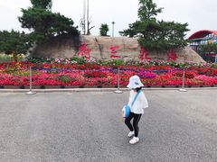 -荷兰花海