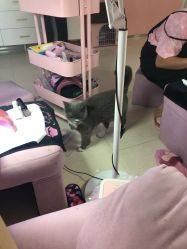 -Pink You美甲美睫纹绣定制中心