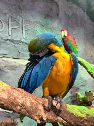 -Zoolung Zoolung动物主题公园(海信广场店)