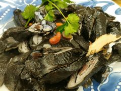 -沙龙酒家
