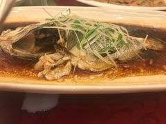 清蒸海斑鱼-罗源湾世纪金源大饭店-和风料理餐厅