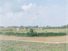 -紫颐香薰山谷景区