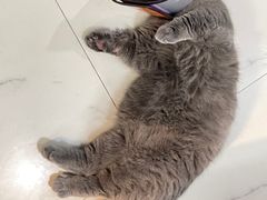 -福州肆爪动物医院