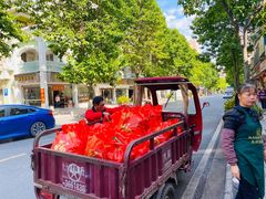 -鼎香皇高佬苏裹蒸粽